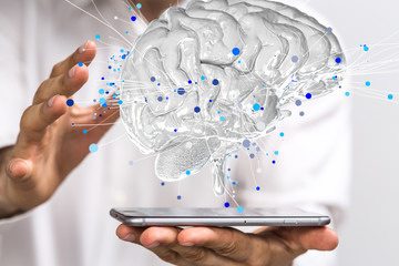 高效搭建精美网页，精选网页设计模板HTML代码解析