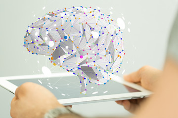 HTML文件打开方式全解析，从基础到进阶的实用指南