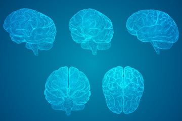 创建你的第一个简单HTML网页