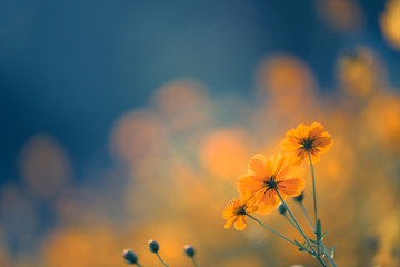 创建你的第一个简单HTML网页