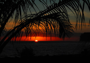 HTML文件打开方式全解析，从基础到进阶的实用指南