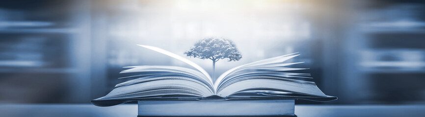 免费PHP网站源码全解析，从入门到实践的必备指南