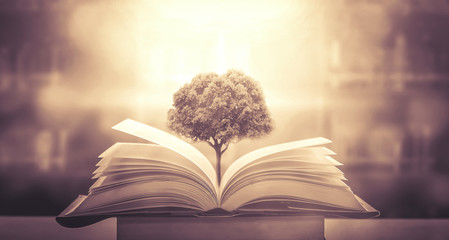 探索Java官方网站，权威资源与社区的核心枢纽