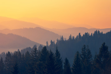 免费Python在线观看源码资源指南，从入门到进阶的编程学习路径