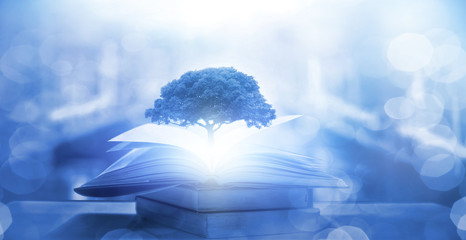 解码H5视频直播源码，构建跨平台实时互动新生态