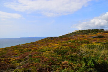 HTML常用代码大全，前端开发必备速查手册