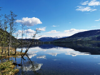 网页设计CSS代码大全，从基础到进阶的实用技巧集锦
