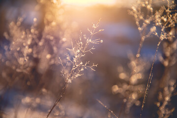 HTML中打开网址的多种方法与实现技巧