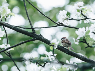 创建你的第一个简单HTML网页