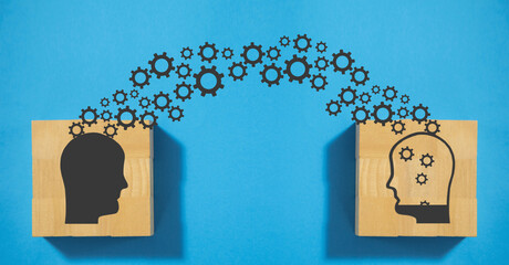 免费PHP网站源码全解析，从入门到实践的必备指南