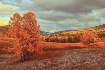 高效搭建精美网页，精选网页设计模板HTML代码解析