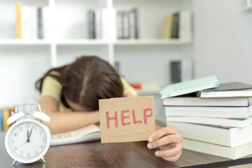 探索Python世界，精选源码分享网站大揭秘