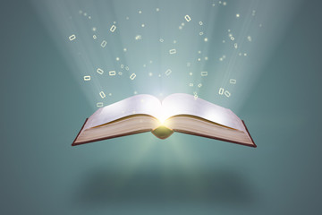 HTML文件打开方式全解析，从基础到进阶的实用指南