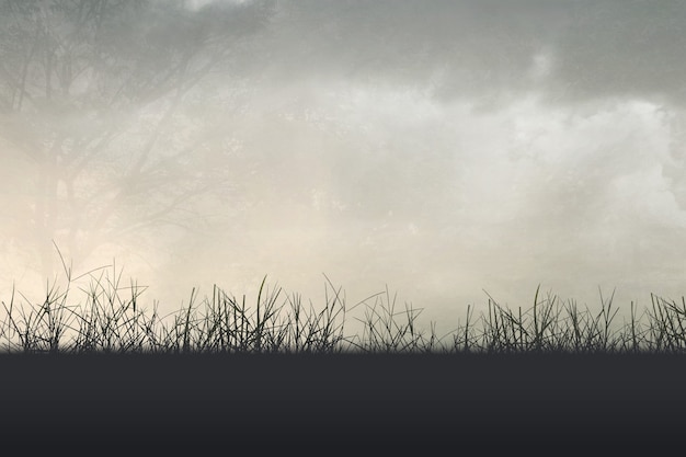 解码H5视频直播源码，构建跨平台实时互动新生态