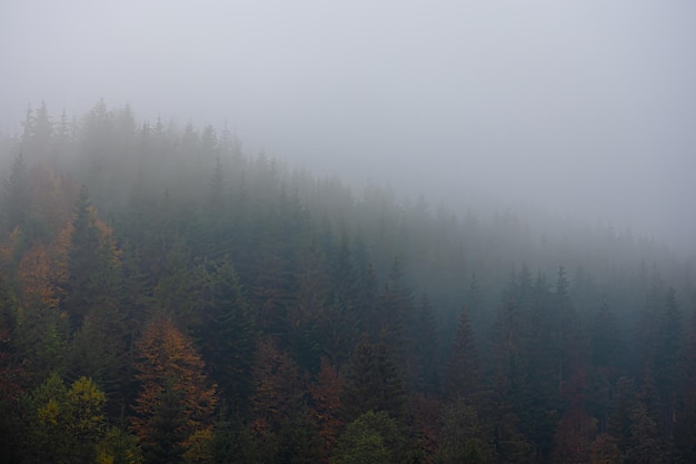 HTML中打开网址的多种方法与实现技巧