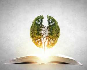 探索Python世界，精选源码分享网站大揭秘