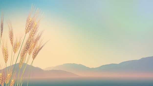 探索Python世界，精选源码分享网站大揭秘