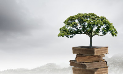 解码H5视频直播源码，构建跨平台实时互动新生态