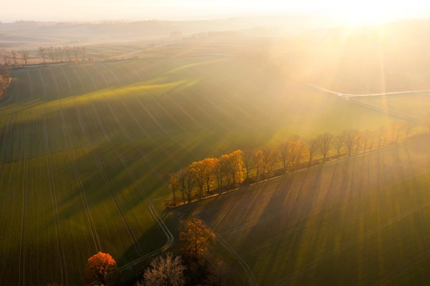 网页设计CSS代码大全，从基础到进阶的实用技巧集锦