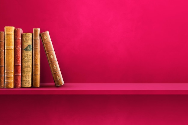 探索Python世界，精选源码分享网站大揭秘