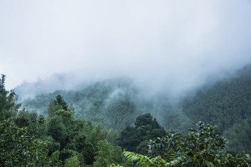 探索Java官方网站，权威资源与社区的核心枢纽